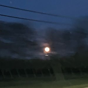 Meet your Posher, Michaela